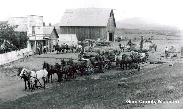 Ballantyne Wool Wagons in Sweet